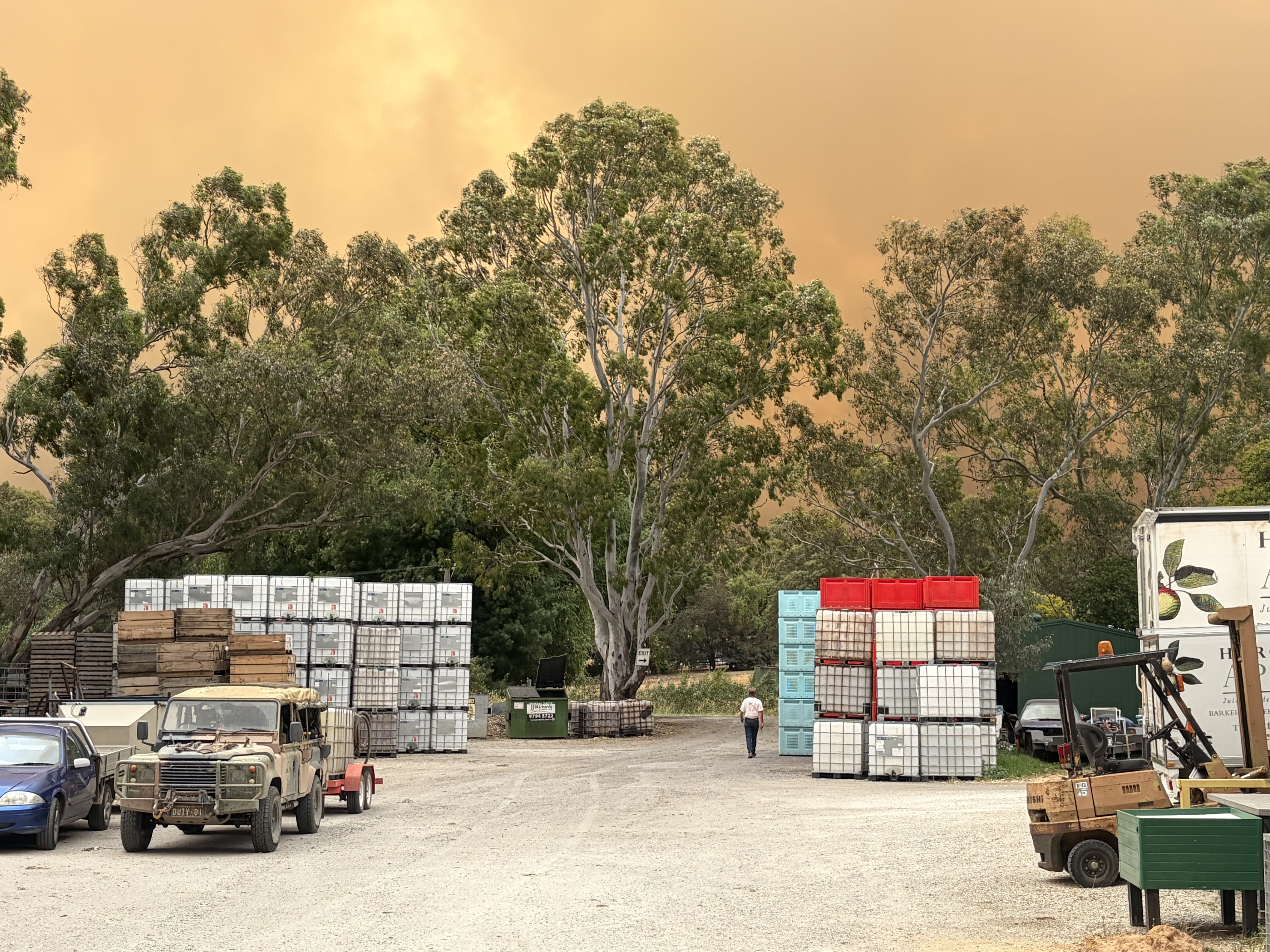 Orange bushfire sky over the Harcourt Apples production yard, 9 January 2026